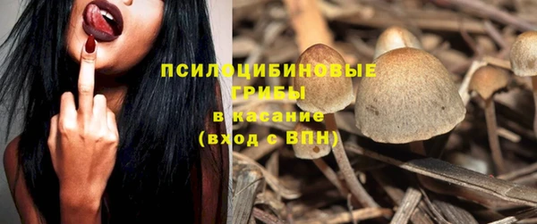 мяу мяу мука Касимов