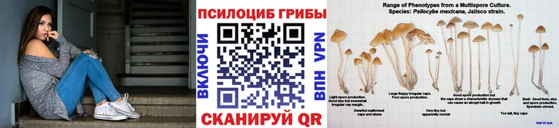 Купить закладки  Туран  Галлюциногенные грибы прущие грибы 